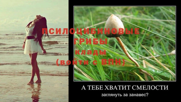 спайс Нея