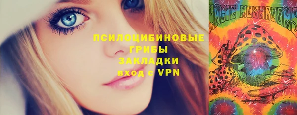 спайс Нея