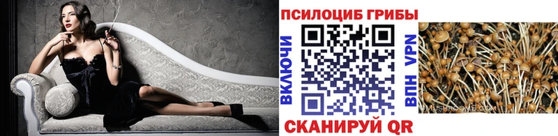 Купить где  Азов  Галлюциногенные грибы Cubensis 